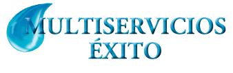 logotipo multiservicios exito